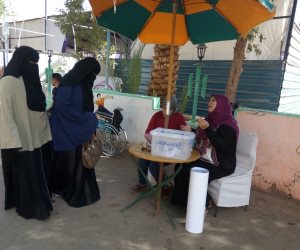 احتفالات وأغنيات وطنية أمام لجان الانتخابات الرئاسية بالدقى (فيديو)