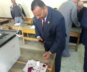  نائب بالبرلمان: الانتخابات جمعت المصريين على قلب رجل واحد خلف رئيسهم