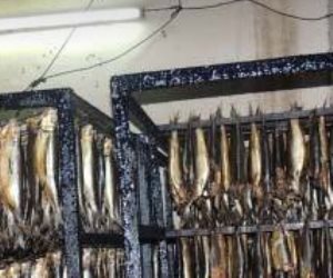  حملات أمنية مكبرة لضبط تجار الأسماك الفاسدة قبل احتفالات أعياد الربيع  