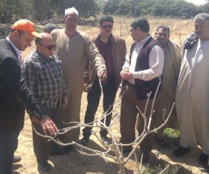 وفد من الإرشاد الزراعى يزور البحيرة لنشر الوعى بزراعة محاصيل المستقبل  (صور)