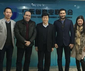 وفد صيني حكومي رفيع المستوى يشارك في "العربي الإفريقي الدولي للاستثمار" بشرم الشيخ 