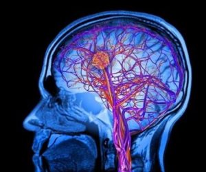 المخ لا يشيخ .. كبار السن لديهم قدرة علي إنتاج خلايا عصبية طوال الوقت 