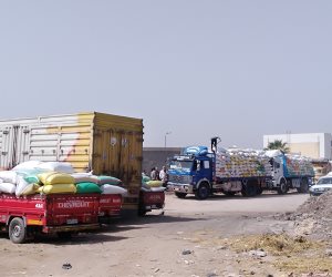 وزارة التموين توقف عمل لجنة استلام القمح في صومعة بالمنيا لهذه الأسباب 