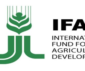  كل ما تريد معرفته عن الصندوق الدولي للتنمية الزراعية «ايفاد »