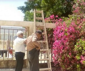 حملة نظافة بحي الساحل بالعريش استعدادا لموسم الصيف (صور)
