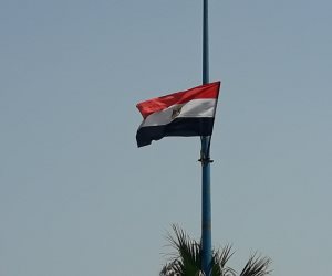 الإسكندرية تتجمل لاستقبال الرئيس السيسى فى افتتاح «أسبوع إحياء الجذور»