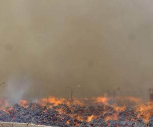 رئيس الوزراء ووزير التنمية المحلية يتابعان جهود إطفاء حريق مصنع سكر كوم أمبو 