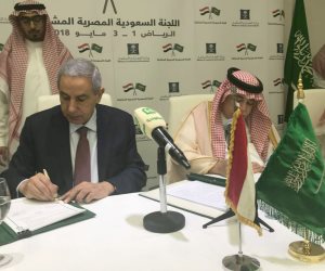 مصر والسعودية تتفقان على تنمية التعاون في القطاعات الإنتاجية والخدمية