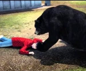 حراس بولاية كولورادو الأمريكية يبحثون عن دب هاجم طفلة فى منزلها