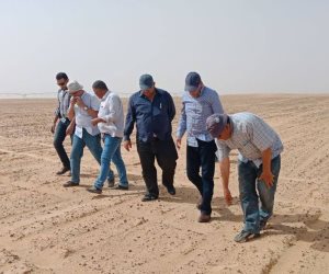 خلاف حول زراعة القطن للمرة الثالثة بمشروع استصلاح 20 ألف فدان غرب غرب المنيا