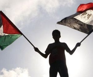 حزب الريادة: أكاذيب الإعلام الغربي تحاول تشويه دور مصر تجاه القضية الفلسطينية