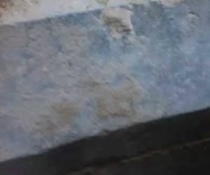 العثور على 3 مومياوات متحللة داخل تابوت الإسكندرية (صور)