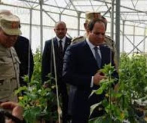 250 مليون فدان جاهزة للزراعة.. كم تجني مصر من التقارب السوداني؟