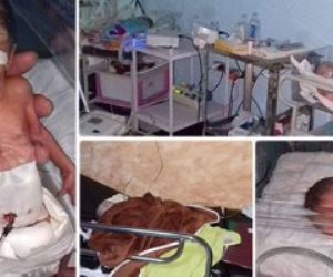 ليست «الصراصير» وحدها.. الصحة تواصل التحقيق في واقعة حضانة أطفال بنها (فيديو)