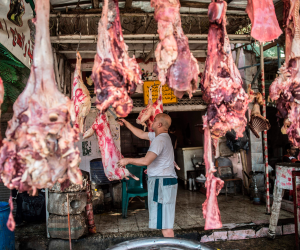 «هتاكل لحمة رخيصة».. القومي للبحوث يواصل تجاربه لزيادة إنتاج اللحوم ودعم الاقتصاد