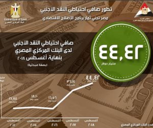 خلال 4 سنوات.. مراحل تطور احتياطي النقد الأجنبى في مصر (إنفوجراف)