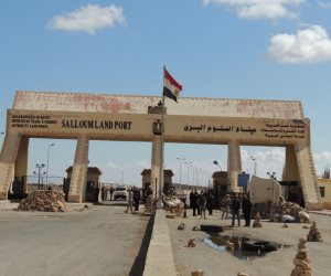 طوارئ على الحدود المصرية الليبية.. والسبب: مرض حيواني غامض انتشر بين الأغنام 