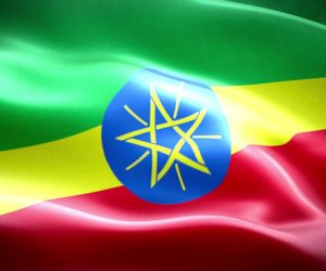 قوات جبهة تيجراى تسيطر على مدينة "دبرى سينا" شمال العاصمة الإثيوبية 