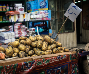 لماذا ارتفعت أسعار الفول والبطاطس؟.. «الزراعيين» تجيب