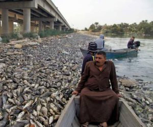 نفوق الأسماك في العراق.. بين جشع الإيران وضعف الحلول الحكومية 