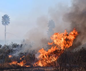 إعلان حالة الطوارئ بولاية كاليفورنيا الأمريكية بسبب استمرار حرائق الغابات