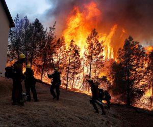 أوروبا تعانى من موجة حر جديدة تصل 40 درجة وتحذيرات من الحرائق.. فيديو