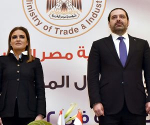 تبادل الخبرات والتعاون الاقتصادي.. ماذا دار في اجتماع سعد الحريري ووزيرة الاستثمار؟