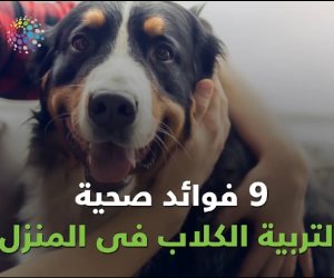 حقيقة مش خيال.. 9 فوائد صحية لتربية الكلاب في المنزل