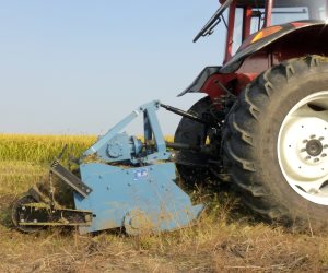 تقرير للبنك الدولي يكشف القيود المعوقة لتحقيق أهداف القطاع الزراعي في مصر