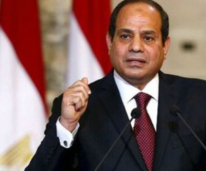 السيسي يصدر قرارا بتعديل قانون نقابة الفنانين التشكيليين