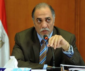 رئيس تضامن البرلمان يؤكد: قانون "صندوق دعم المرأة المصرية" تنفيذا لتوجيهات السيسى