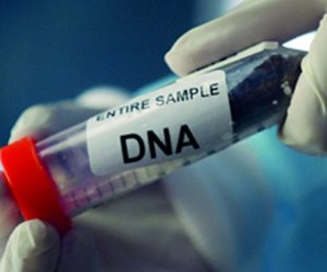علوم مسرح الجريمة.. إثبات النسب في القانون المصري بالبصمة الوراثية «DNA»