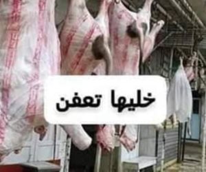 حملة «خليها تعفن» تلقى محاربة من مافيا تجار اللحوم.. ومطالبات بتطبيق قانون البلطجة	