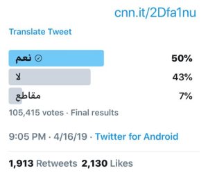 «نعم» للتعديلات الدستورية تنتصر على أكاذيب CNN وحشود «الإخوان الإرهابية»