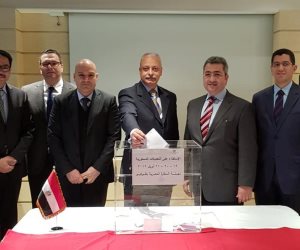  مشاركة كثيقة للمصريين فى بلغاريا ولندن وطوكيو وهولندا والهند بالاستفتاء على الدستور