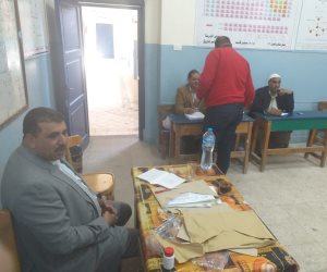 رئيس لجنة بالإسكندرية: المصريين ضربوا المثل في المشاركة السياسية بالاستفتاء  