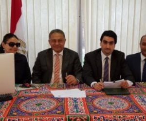 لليوم الثالث.. المصريون بأستراليا لم ينقطعوا عن صناديق التصويت على الاستفتاء