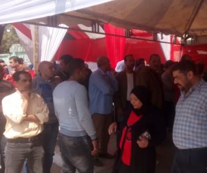 إقبال كبير من مواطنين على لجان المنيل في ثالث أيام الاستفتاء (صور)
