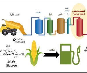 الوقود الحيوي يواصل تهديد غذاء الملايين: يستخدم الذرة وقصب السكر وفول الصويا