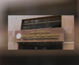 كل ما تريد معرفته عن الشركات القابضة التابعة لوزارة قطاع الأعمال العام