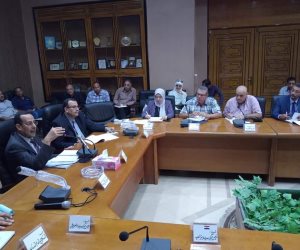تفاصيل قرارات محافظ شمال سيناء الخدمية خلال الاجتماع التنفيذي (صور)