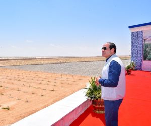 السيسي: احنا بنجتهد في البلد مش علشان الفلوس لكن علشان «عز مصر»