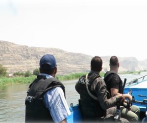 الداخلية تبيد 2 فدان مزروعة بنبات القنب في حملة بالقوصية ( صور)