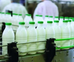 طفرة في صناعة الألبان.. الأرقام تؤكد تحقيق الاكتفاء الذاتي من «الحليب»