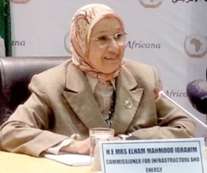 مصرية تفوز بمنصب نائب رئيس المجلس العالمي للطاقة.. من هي إلهام محمود؟ 