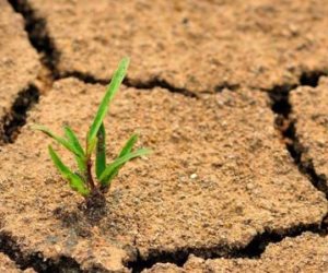 تحذير عالمي: 90% من تربة الغذاء مهددة بالتصحر… ومصر تتحرك بـ5 آلاف معدة زراعية حديثة