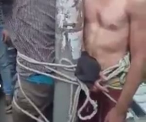 أهالي كفر الشيخ يوثقون لصا بعمود إنارة بعدما سرق مواطنا