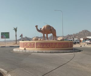 أهم اللقطات بافتتاح مهرجان شرم الشيخ الدولي للهجن بجنوب سيناء (صور وفيديو)