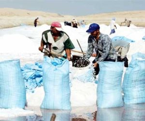 "الملح المصري" يغزو موائد أفريقيا.. وتوقعات بارتفاع الصادرات بعد تطوير البحيرات