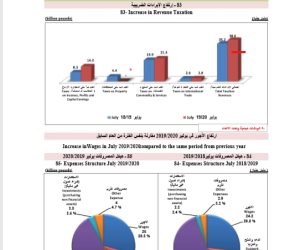 الاحصاء: ارتفاع ايرادات الدولة بزيادة 7.2 مليار جنيه «إنفوجراف»